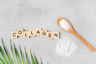 What’s the 411: Everything You Need to Know About Collagen